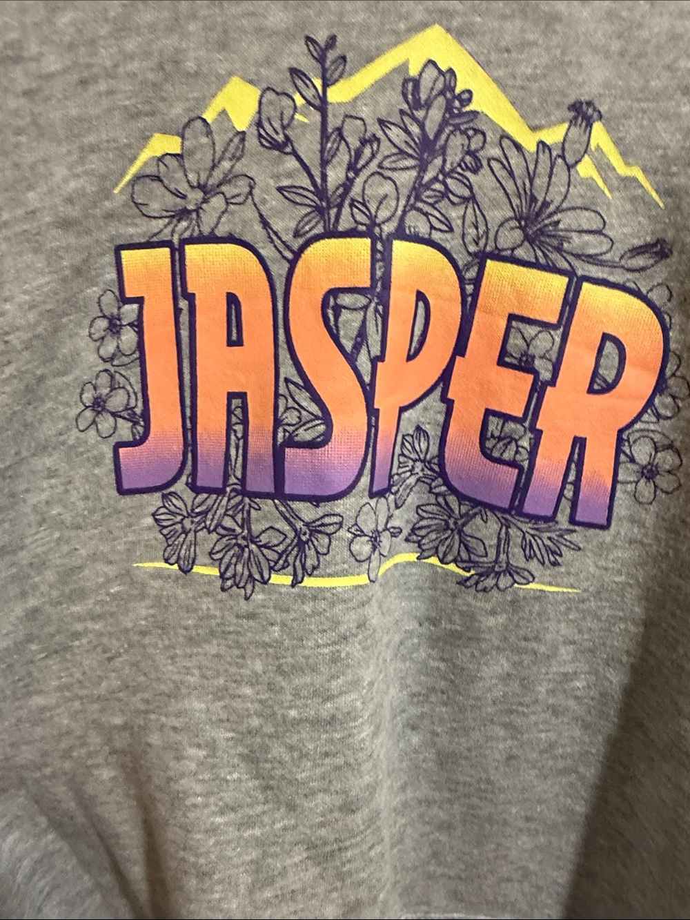 Jasper Gradient Graphic Hoodie - Gray